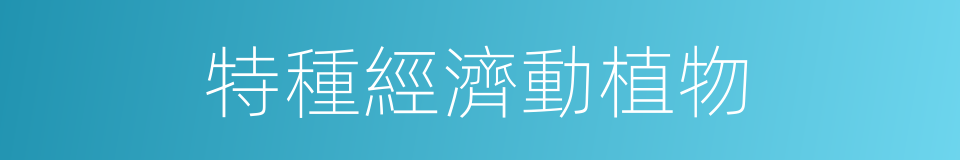 特種經濟動植物的同義詞