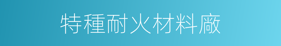 特種耐火材料廠的同義詞