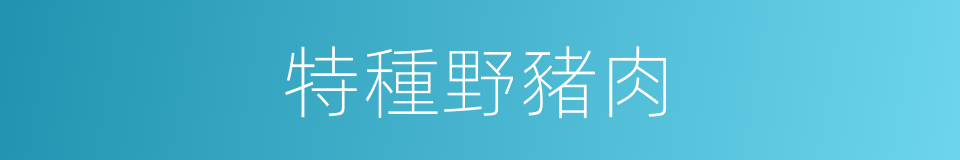 特種野豬肉的同義詞