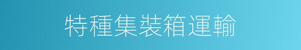 特種集裝箱運輸的同義詞