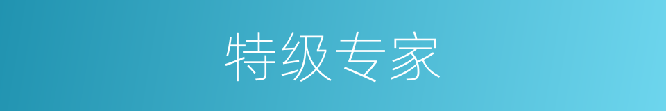 特级专家的同义词