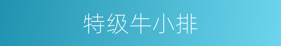 特级牛小排的同义词