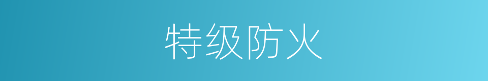 特级防火的同义词