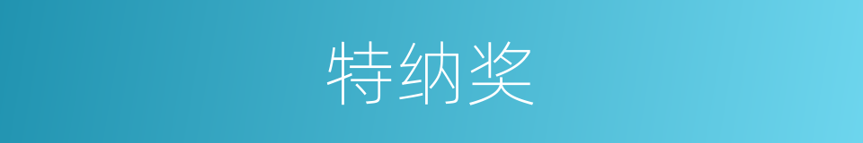 特纳奖的同义词