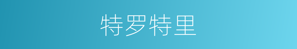 特罗特里的同义词