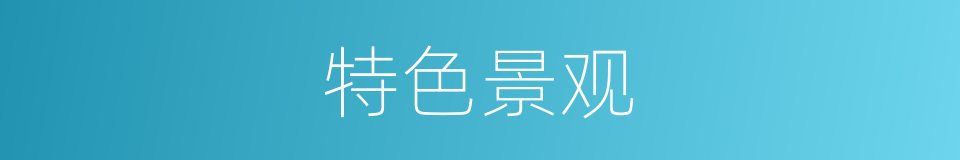 特色景观的同义词