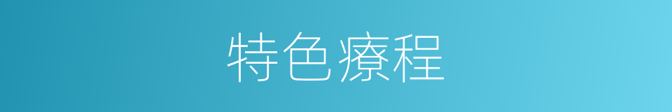 特色療程的同義詞