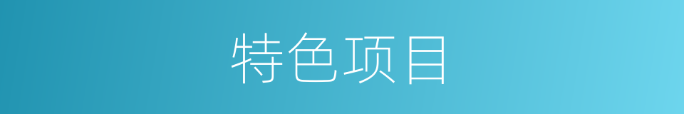 特色项目的同义词