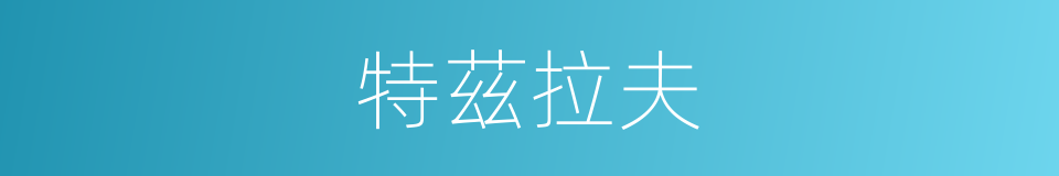 特茲拉夫的同義詞