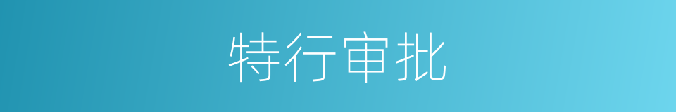 特行审批的同义词