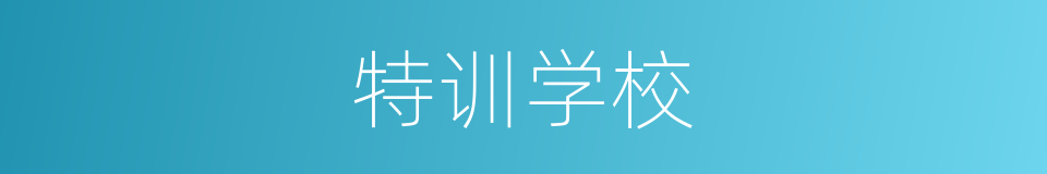 特训学校的同义词