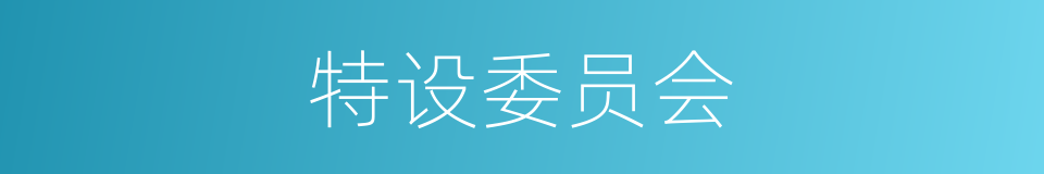 特设委员会的同义词