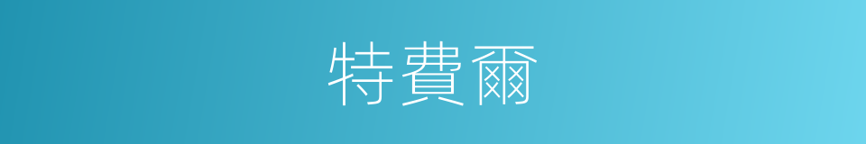 特費爾的同義詞