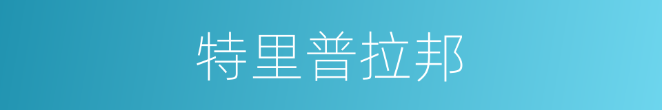 特里普拉邦的同义词