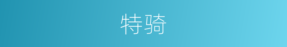 特骑的同义词