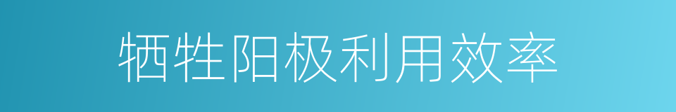 牺牲阳极利用效率的同义词