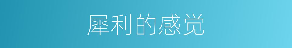 犀利的感觉的同义词