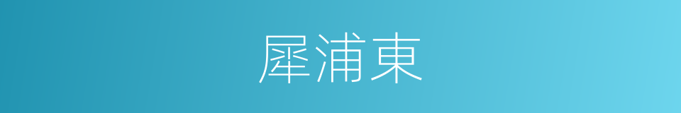 犀浦東的同義詞