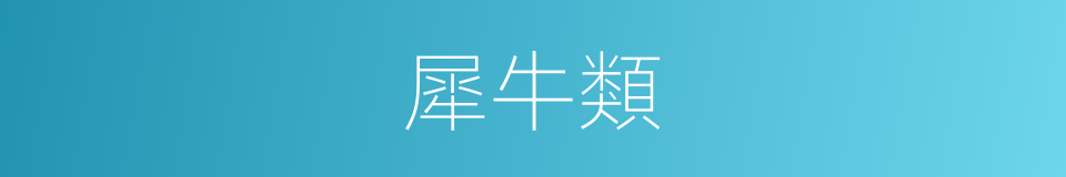 犀牛類的同義詞