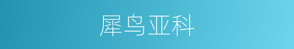 犀鸟亚科的同义词