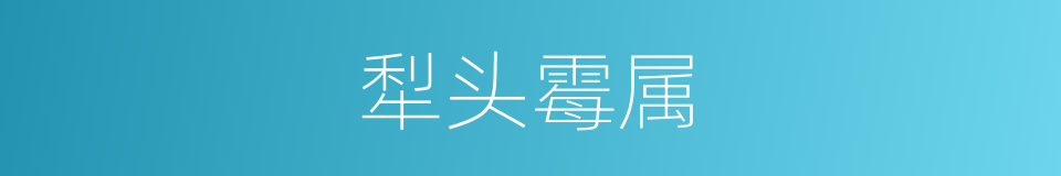 犁头霉属的同义词