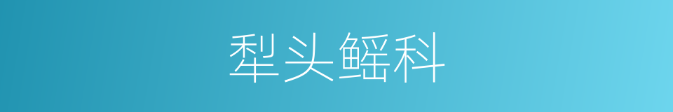 犁头鳐科的同义词