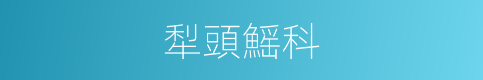 犁頭鰩科的同義詞