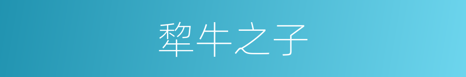 犂牛之子的意思