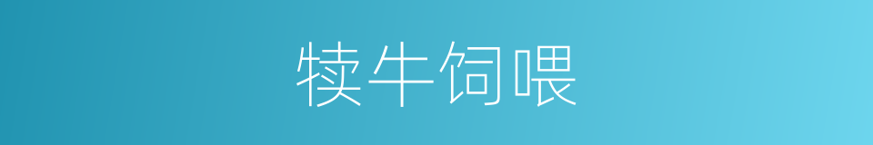 犊牛饲喂的同义词