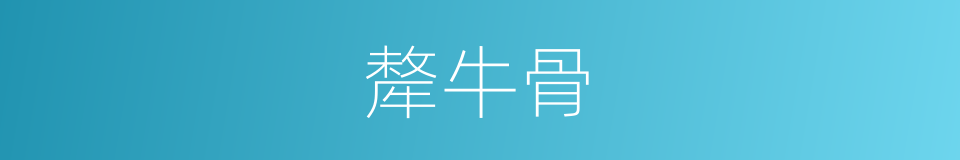 犛牛骨的同義詞