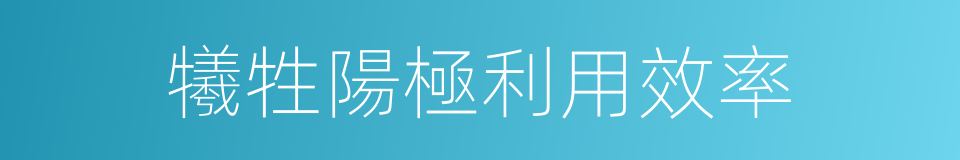 犧牲陽極利用效率的同義詞