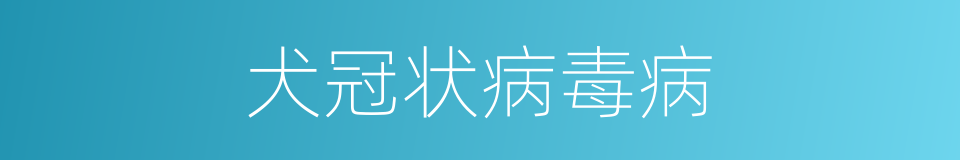犬冠状病毒病的同义词