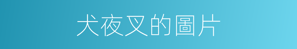 犬夜叉的圖片的同義詞