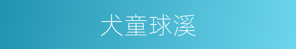 犬童球溪的同义词