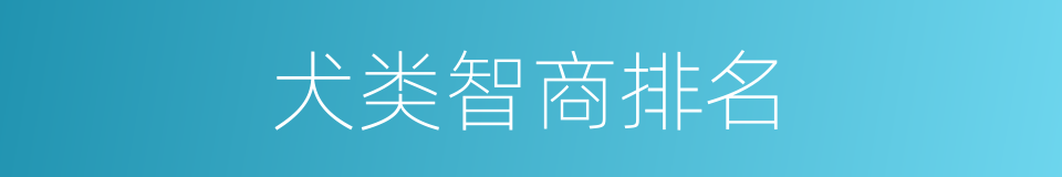 犬类智商排名的同义词