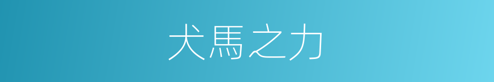 犬馬之力的同義詞