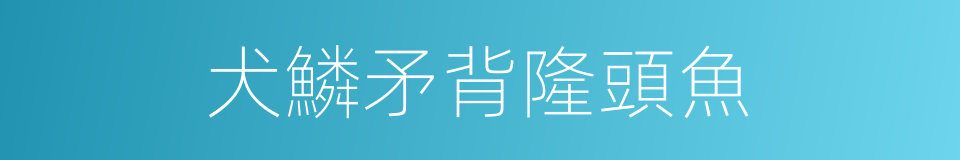 犬鱗矛背隆頭魚的同義詞