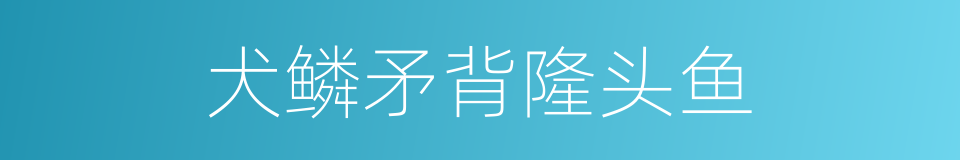 犬鳞矛背隆头鱼的同义词