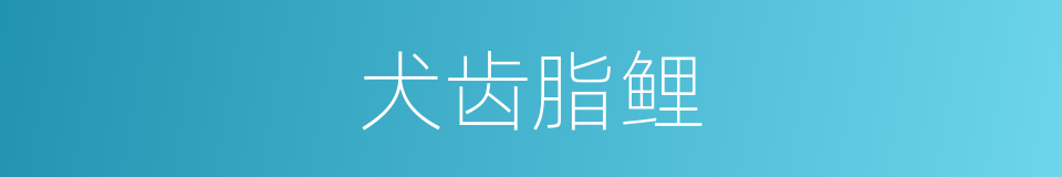犬齿脂鲤的同义词
