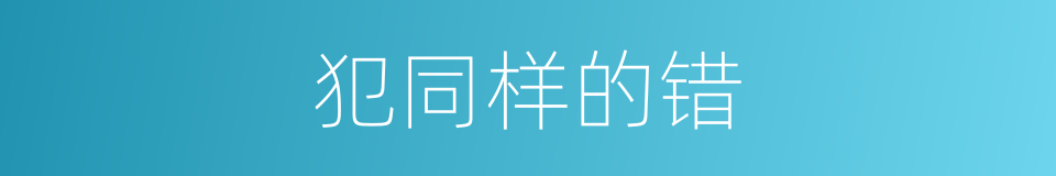 犯同样的错的同义词