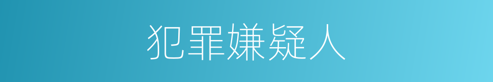 犯罪嫌疑人的意思