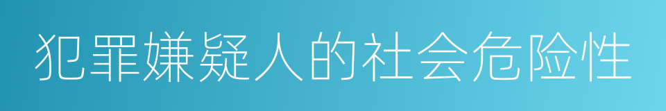 犯罪嫌疑人的社会危险性的同义词