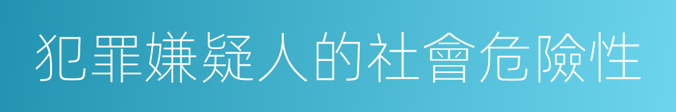 犯罪嫌疑人的社會危險性的同義詞