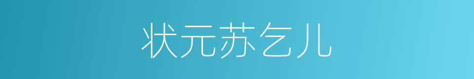 状元苏乞儿的同义词