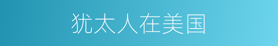 犹太人在美国的同义词