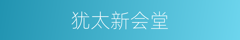 犹太新会堂的同义词