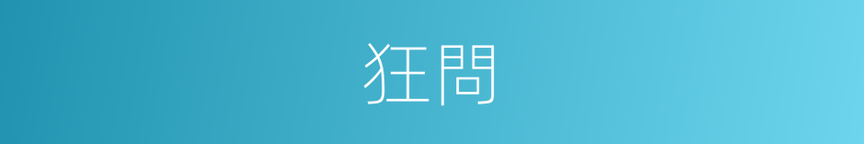 狂問的同義詞
