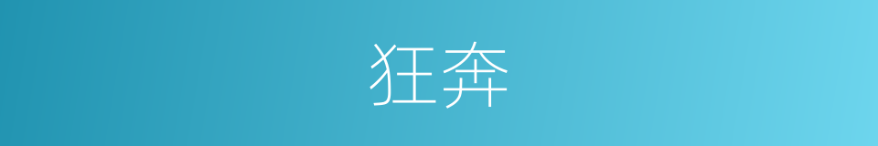 狂奔的意思