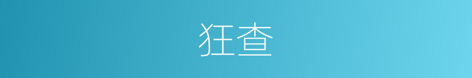 狂查的同义词