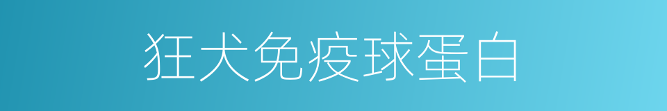 狂犬免疫球蛋白的同义词